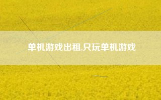 单机游戏出租,只玩单机游戏