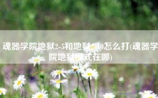 魂器学院地狱2-5和地狱2-10怎么打(魂器学院地狱模式在哪)