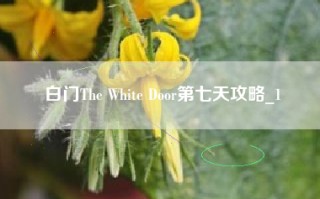 白门The White Door第七天攻略_1