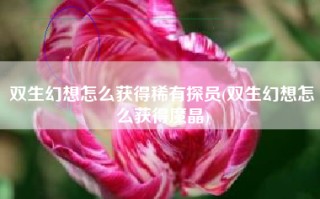 双生幻想怎么获得稀有探员(双生幻想怎么获得魔晶)