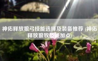 神佑释放狼弓技能选择及装备推荐 (神佑释放狼牧技能加点)