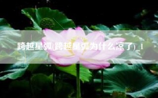 跨越星弧(跨越星弧为什么凉了)_1