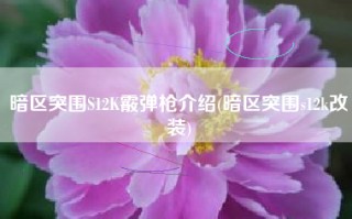 暗区突围S12K霰弹枪介绍(暗区突围s12k改装)