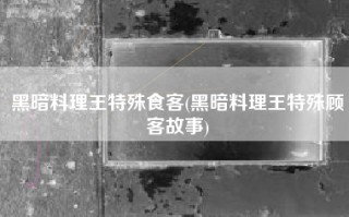 黑暗料理王特殊食客(黑暗料理王特殊顾客故事)