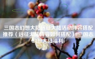 三国志幻想大陆远征大陆活动阵容搭配推荐（远征大陆阵容如何搭配）(三国志幻想大陆福利)