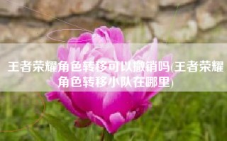 王者荣耀角色转移可以撤销吗(王者荣耀角色转移小队在哪里)