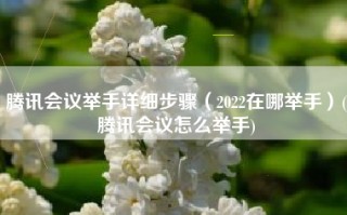 腾讯会议举手详细步骤（2022在哪举手）(腾讯会议怎么举手)