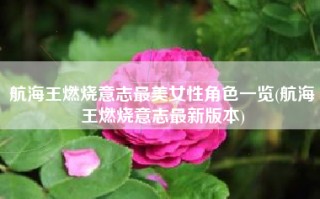 航海王燃烧意志最美女性角色一览(航海王燃烧意志最新版本)