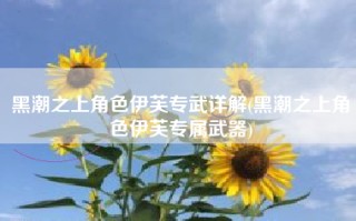 黑潮之上角色伊芙专武详解(黑潮之上角色伊芙专属武器)