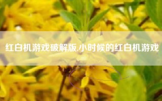 红白机游戏破解版,小时候的红白机游戏