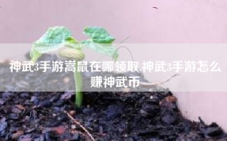 神武3手游嵩鼠在哪领取,神武3手游怎么赚神武币