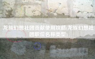 龙族幻想社团贡献使用攻略(龙族幻想社团职位名称类型)