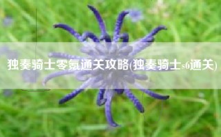 独奏骑士零氪通关攻略(独奏骑士s6通关)