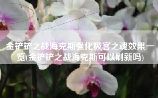 金铲铲之战海克斯强化极客之魂效果一览(金铲铲之战海克斯可以刷新吗)