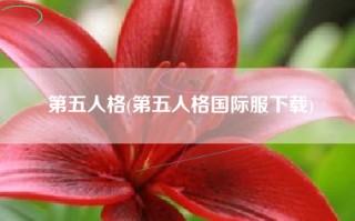 第五人格(第五人格国际服下载)