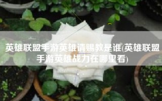 英雄联盟手游英雄请赐教是谁(英雄联盟手游英雄战力在哪里看)