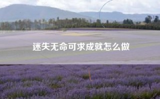 迷失无命可求成就怎么做