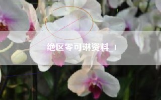 绝区零可琳资料_1