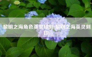 黎明之海角色英灵印刻(黎明之海英灵刻印)