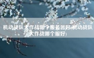 机动战队大作战哪个服务器好(机动战队大作战哪个服好)