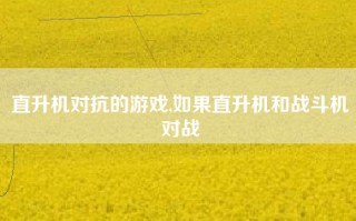 直升机对抗的游戏,如果直升机和战斗机对战