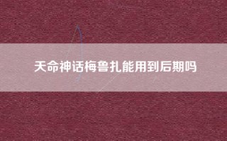 天命神话梅鲁扎能用到后期吗