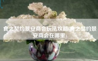 食之契约景安商会玩法攻略(食之契约景安商会在哪里)