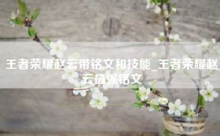 王者荣耀赵云带铭文和技能_王者荣耀赵云最强铭文