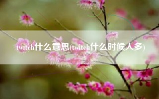 twitch什么意思(twitch什么时候人多)