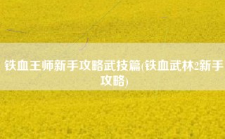 铁血王师新手攻略武技篇(铁血武林2新手攻略)