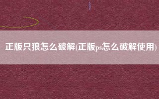 正版只狼怎么破解(正版ps怎么破解使用)