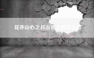 花亦山心之月山兽之君怎么打