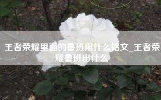 王者荣耀里面的鲁班用什么铭文_王者荣耀鲁班出什么