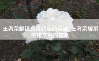 王者荣耀铭文页对应的英雄_王者荣耀系统铭文对应英雄