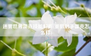 迷雾世界霍克技能解析(重狙射手霍克怎么样)
