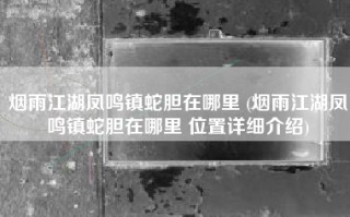 烟雨江湖凤鸣镇蛇胆在哪里 (烟雨江湖凤鸣镇蛇胆在哪里 位置详细介绍)
