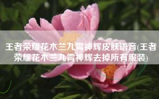 王者荣耀花木兰九霄神辉皮肤语音(王者荣耀花木兰九霄神辉去掉所有服装)