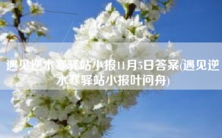 遇见逆水寒驿站小报11月5日答案(遇见逆水寒驿站小报叶问舟)