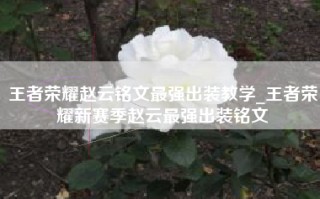 王者荣耀赵云铭文最强出装教学_王者荣耀新赛季赵云最强出装铭文
