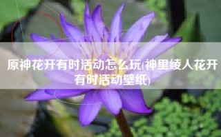 原神花开有时活动怎么玩(神里绫人花开有时活动壁纸)