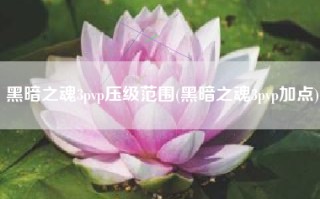 黑暗之魂3pvp压级范围(黑暗之魂3pvp加点)