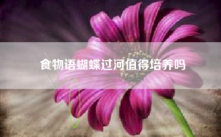 食物语蝴蝶过河值得培养吗