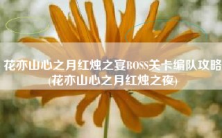 花亦山心之月红烛之宴BOSS关卡编队攻略(花亦山心之月红烛之夜)