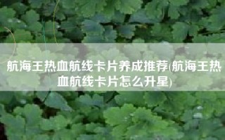 航海王热血航线卡片养成推荐(航海王热血航线卡片怎么升星)