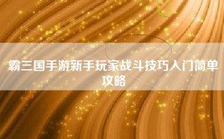 霸三国手游新手玩家战斗技巧入门简单攻略