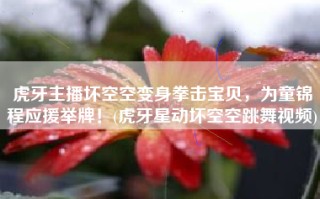 虎牙主播坏空空变身拳击宝贝，为童锦程应援举牌！(虎牙星动坏空空跳舞视频)