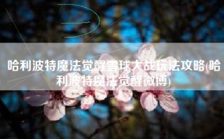 哈利波特魔法觉醒雪球大战玩法攻略(哈利波特魔法觉醒微博)