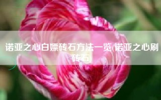 诺亚之心白嫖砖石方法一览(诺亚之心刷砖石)