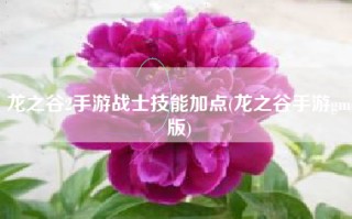 龙之谷2手游战士技能加点(龙之谷手游gm版)