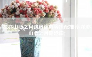 花亦山心之月路沧崖阵容搭配推荐(花亦山心之月路沧崖)